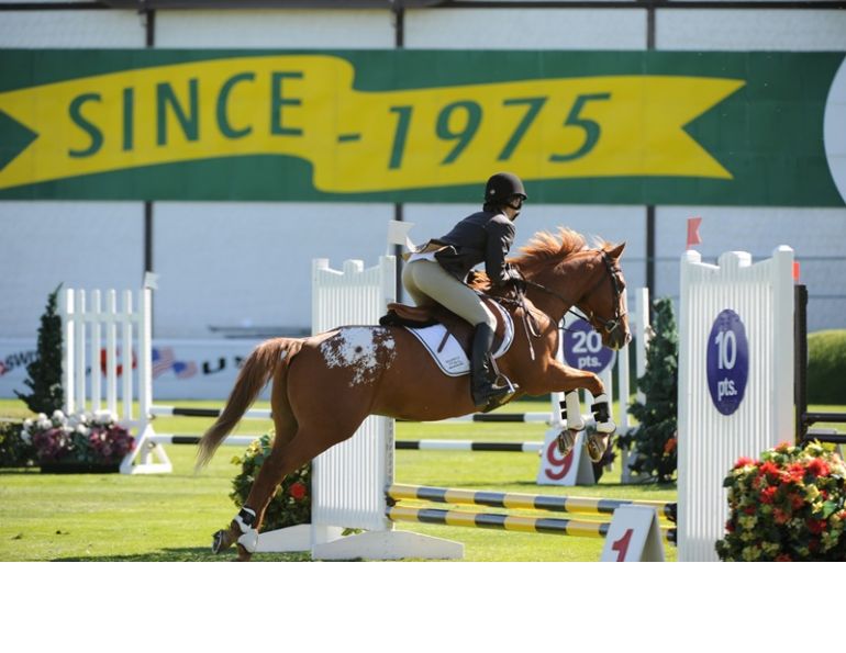 Horse rider back support, horse rider fitness, horse rider daily exercises, horse rider upper body strength