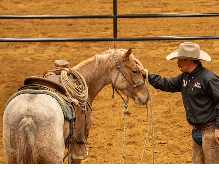 2025 road to the horse dustin sippola, 2025 rtth dustin sippola, wild card challenge dustin sippola, the wranglers road to the horse, canadians at road to the horse 2025