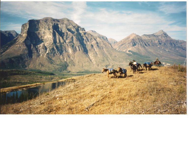 Stan Walchuk Jr, Four More Trail Knots, trail riding rope knot, trail riding tips, trail riding safety, Bowline, horse trail riding, tying horse trail knots 