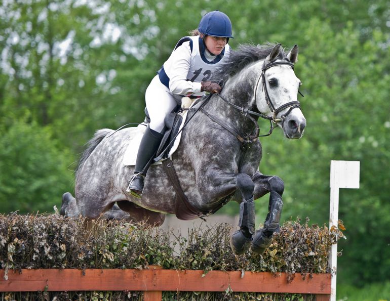 april clay horse psychologist, horse show, riding shows, enjoy a horse show, enjoy riding show, horse show fun, equine show fun