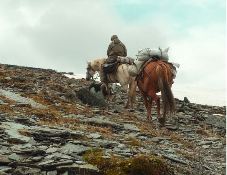 Stan Walchuk, Jr, horse trail riding, heart trail horse Stan Walchuk, Jr, horse trail riding, heart trail horse