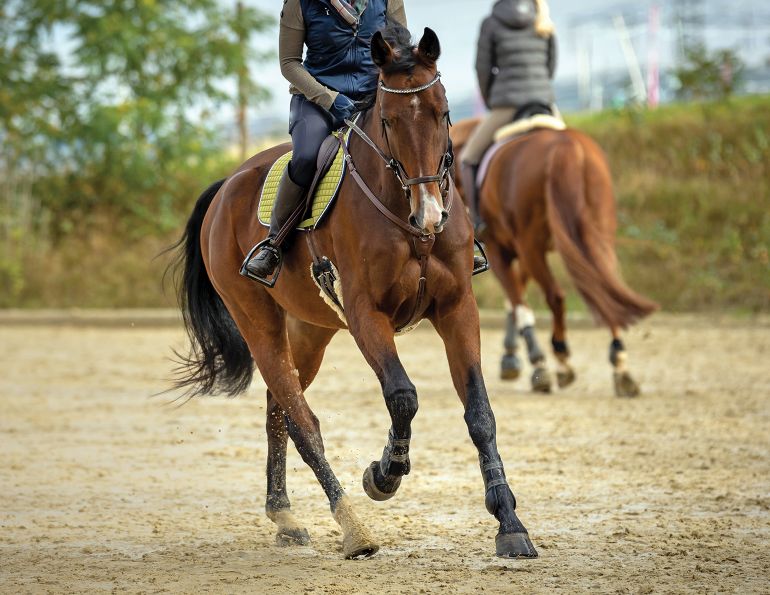 jec ballou training, how to get my horse fit, best surfaces riding horses, best footing horses, injuries horses, is sand good horses
