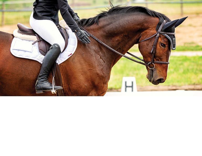 equestrian training Canada, horse show mistakes, riding improvement tips, equestrian competition advice, horse behaviour training, dressage errors, hunter jumper tips, reining mistakes, Canadian riders, learning from riding mistakes