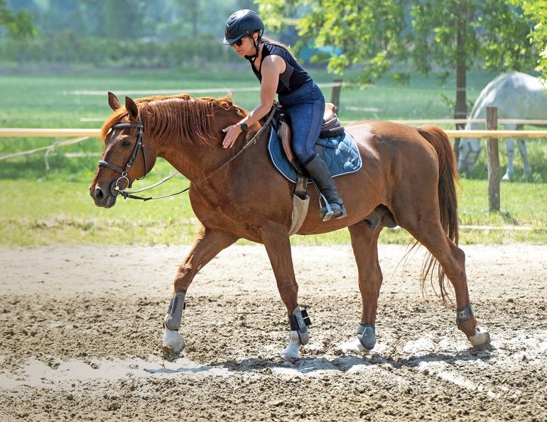 best warm up horse, horse rider warm up, jec ballou equine fitness, balanced horse rider, improve horse fitness
