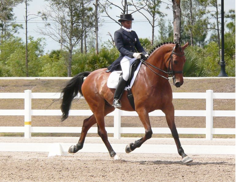 Bonny Bonnello, horse contact, horse riding contact, horse connection, horse riding connection, dressage contact, dressage connection, half-halt trot lengthening, Half-pass exercise, Leg-yield exercise, Half-pass exercise