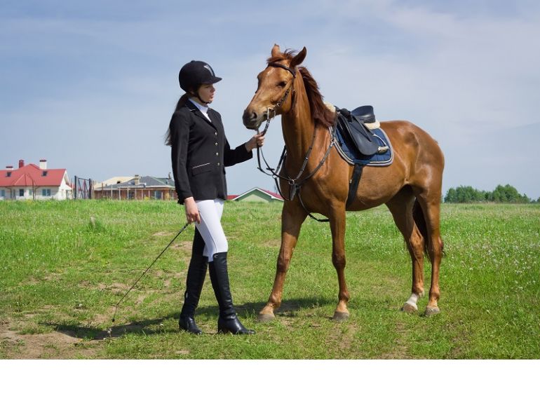 Horse Shaming, april clay, horse rider psychology, equine psychology, horse psychology