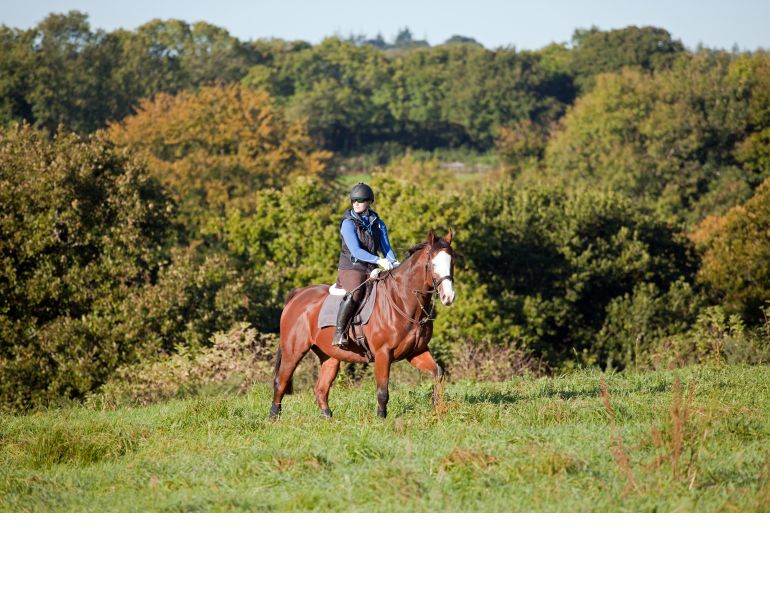jec a ballou training exercises, trail riding exercises, core exercises horse, jec a ballou