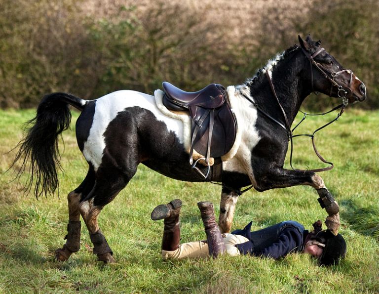 horse riding accidents, should i wear a riding helmet, how to safely ride a horse, gear for horse riding, beginner rider equipment, concussion horse riding, insurance for horse riding