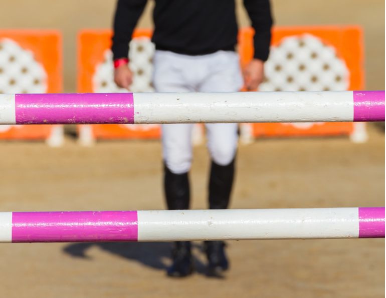 walking horse jump course, learning your horse jump course, studying equine jump course