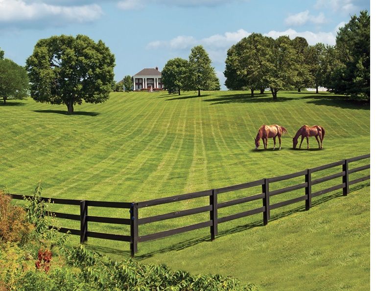 what is the safest type of horse fencing? What is most functional type of horse fencing? different types of horse fencing, vinyl horse fencing, electric horse fencing, polywire horse fencing, tape horse fencing