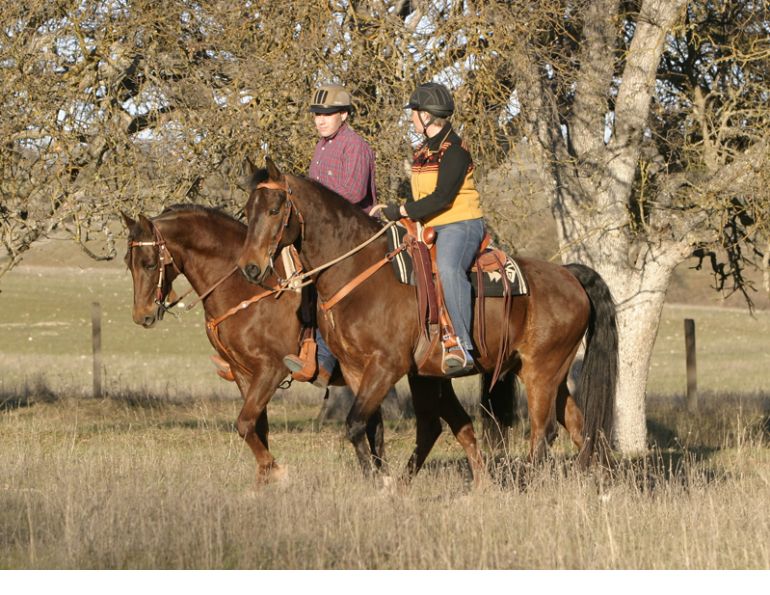 Lindsay Grice, how to enjoy fall winter with Your Horse, meeting your equine goals, explore alternate activities with your horse, horse training, bonding with your horse, winter horse riding, autumn horse riding