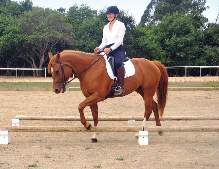 Jec Ballou horse training, core exercises horse, balance exercises horse, groundwork horses, pole work horses