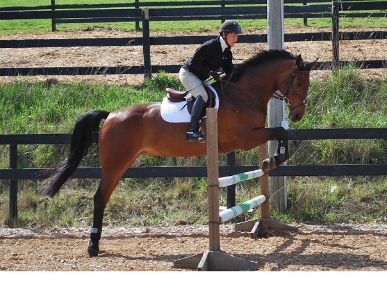 liz ashton on show jumping and supple jumping horses. Exercise to help horse stay supple, serpentine over fence, jumping horse on a circle, fences horses, flatwork horses