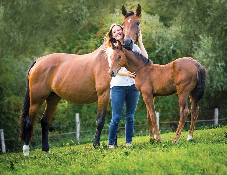 equine reproduction, assisted reproductive techniques horses, artificial insemination horses, embryo transfer horses, ICSI horses, equine IVF, horse breeding technologies, equine cloning