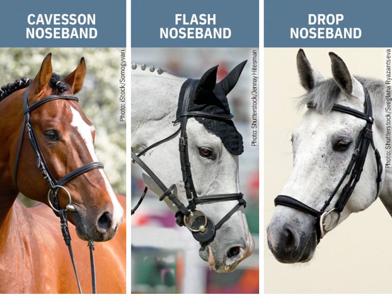should i use a noseband on horse, types of horse nosebands, why use a noseband horse, ises noseband pressure, how much pressure horse noseband