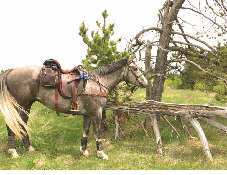 fort Walsh, Grasslands National Park, horse trail, trail riding, saskatchewan trail riding, prairie trail riding, horse camping