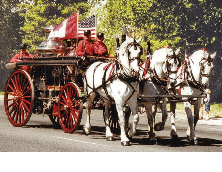 horses in canadian history, fire horses, horses used for fire trucks horse drawn fire engine