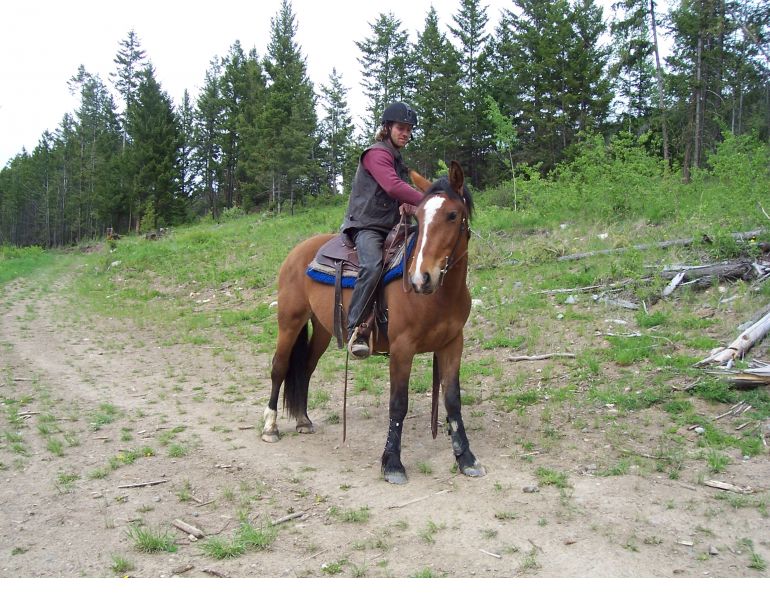 riding green horse, riding inexperienced horse, will clinging