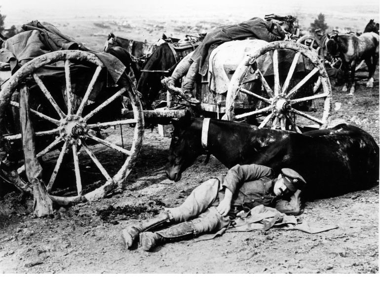 Horses in war, war horse, horses world war 1, horses world war 2, dumb heroes, Riding into War, The Horse in War, my horse warrier, the war illustrated