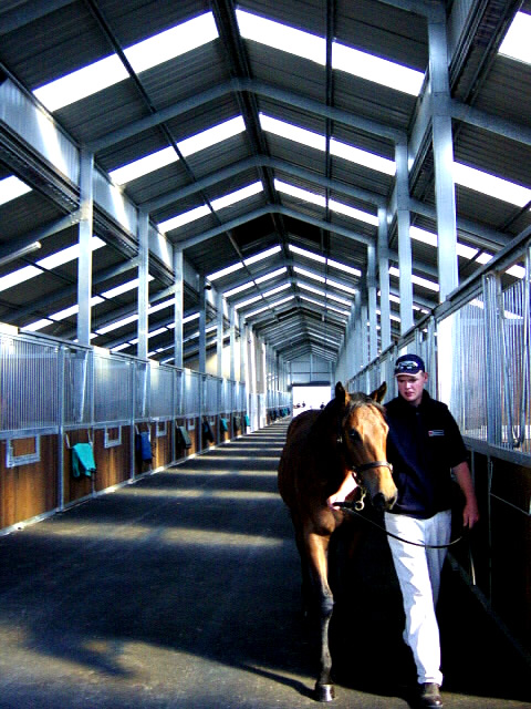 environmentally friendly horse stable, composting horse barn