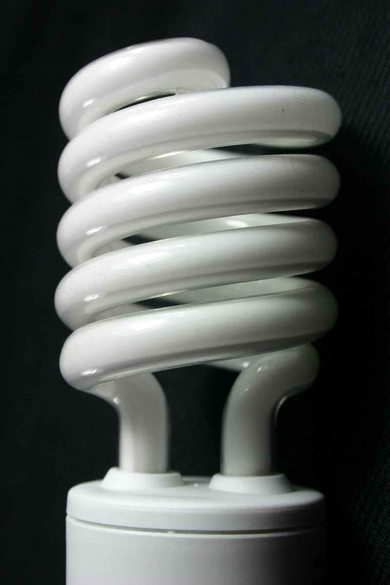 environmentally friendly horse stable, composting horse barn