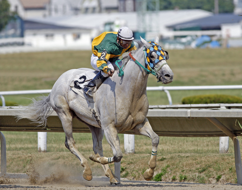 optimal horse fitness, horse peak performance, equine athletes, Dr. Sebastian McBride, understanding horse temperament, horse temperament testing, horse care, Psychological Factors Affecting Equine Performance, temperament of a young horse, Psychology of Performance Horses, Margaret Evans