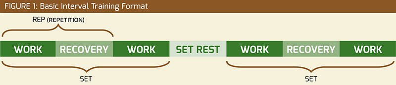 lori k. warren, fit horse, horse fitness, horse conditioning, horse schooling, equine conditioning, equine schooling, equine fitness, fit equine, equine interval, equine gymnastics, horse gymnastics, horse strength, equine strength