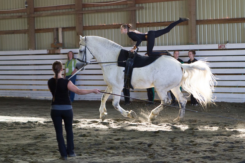 Canadian Equestrian Vaulting, HCBC’s Lifetime Achievement Award, Barb Schmidt HCBC 2015 Sherman Olson Lifetime Achievement Award to local horseman, Borge Olsen 2016 Canada Cup Vaulting Competition at Chilliwack Heritage Park