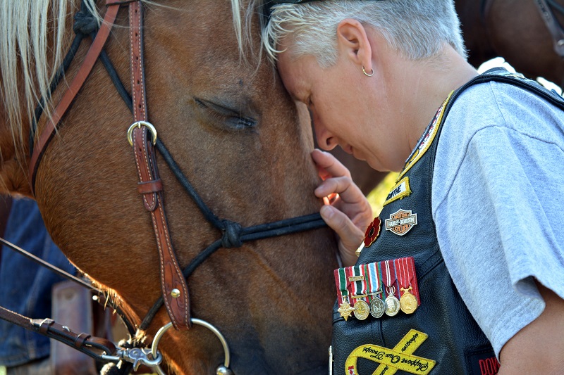 horse Ride Across Canada canadian Forces veterans ride paul nichols terry nichols pen y bryn farm equine facility veterans horse community fundraiser remembrance day horse horse Ride Across Canada canadian Forces veterans ride paul nichols terry nichols pen y bryn farm equine facility veterans horse community fundraiser remembrance day horse