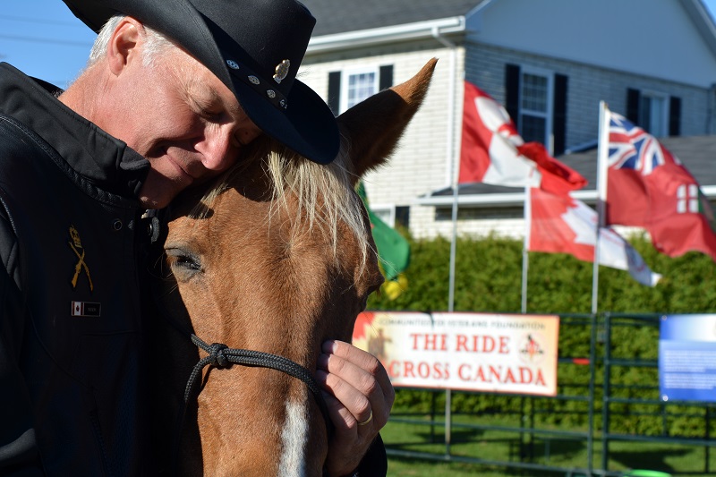 horse Ride Across Canada canadian Forces veterans ride paul nichols terry nichols pen y bryn farm equine facility veterans horse community fundraiser remembrance day horse horse Ride Across Canada canadian Forces veterans ride paul nichols terry nichols pen y bryn farm equine facility veterans horse community fundraiser remembrance day horse