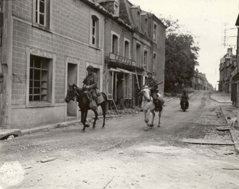 war horse, horses in war, horses in service, world war two horse, world war one horse