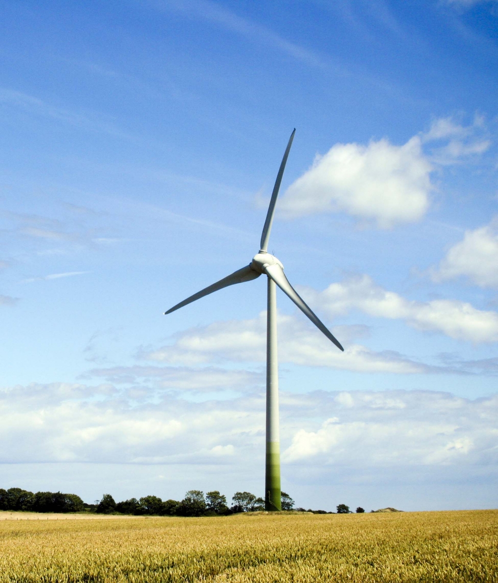 environmentally friendly horse stable, composting horse barn