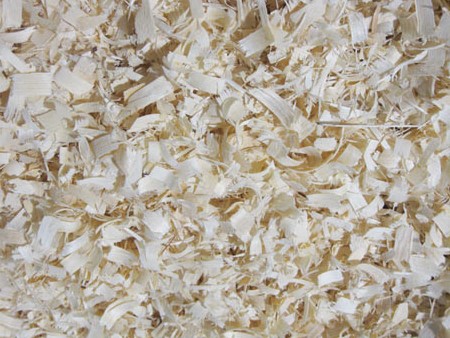 type of horse bedding, stall bedding, wood shavings horse barn, straw bedding equine, peat moss horse bedding
